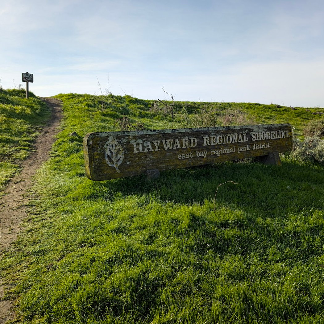 Hayward Regional Shoreline 4
